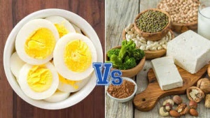 Vegetarian Powerhouses: 20 Plant-Based Foods That Outperform an Egg in Protein