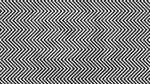 Optical Illusion: Think you have sharp vision? Prove it by spotting the Panda in 7 seconds!