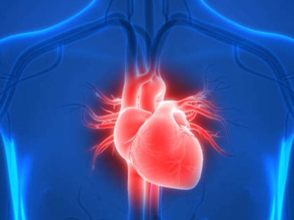 Heart health illustration