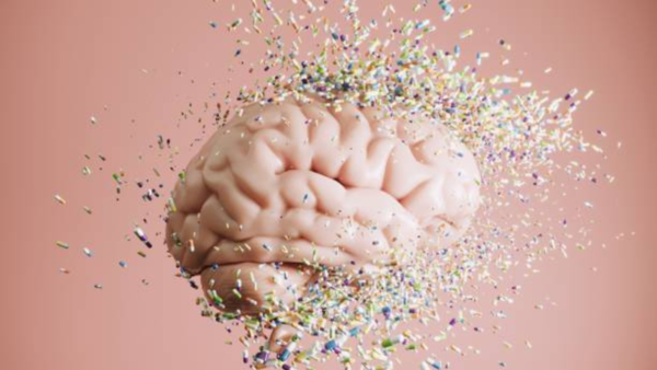 Brain scan showing affected area