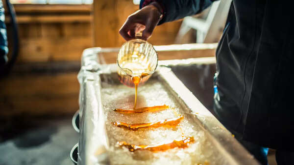 Bottle of syrup high in fructose